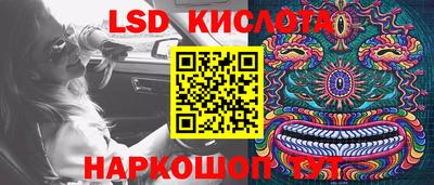 стафф Донской